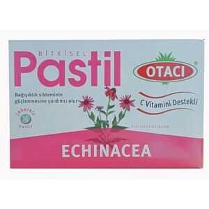 Bitkisel Pastil Ekinezya Ekstreli C Vitaminli Takviye Edici Gıda 16 Şekersiz Pastil - 1