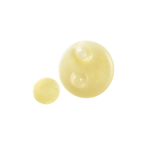 Nutricerat Kuru Ve Yıpranmış Saçlar İçin Şampuan 200ml - 2