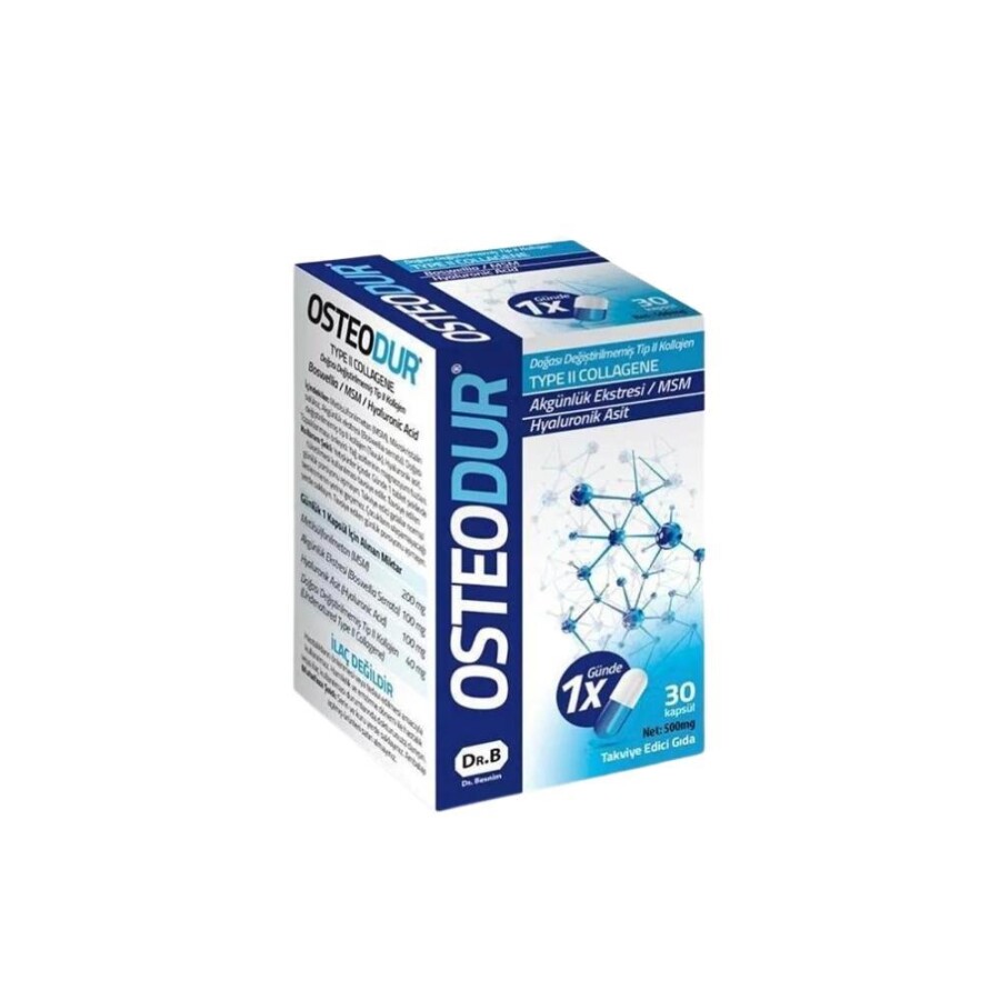 Osteodur Type II Kollajen, Boswellia, MSM,Hyaluronic Acid İçeren Takviye Edici Gıda 30 Kapsül - 1