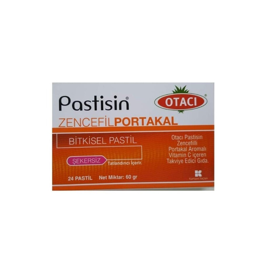 Pastisin Zencefilli Portakal Aromalı Vitamin C İçeren Şekersiz Takviye Edici Gıda 24 Pastil - 1