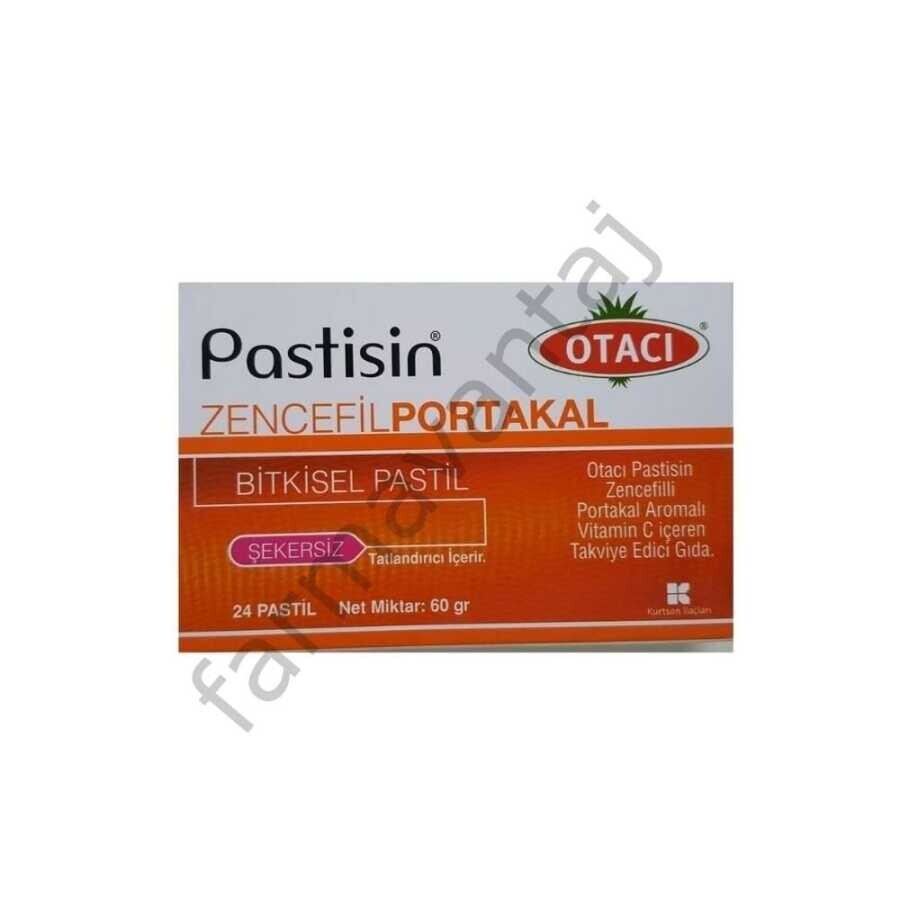 Pastisin Zencefilli Portakal Aromalı Vitamin C İçeren Şekersiz Takviye Edici Gıda 24 Pastil - 1