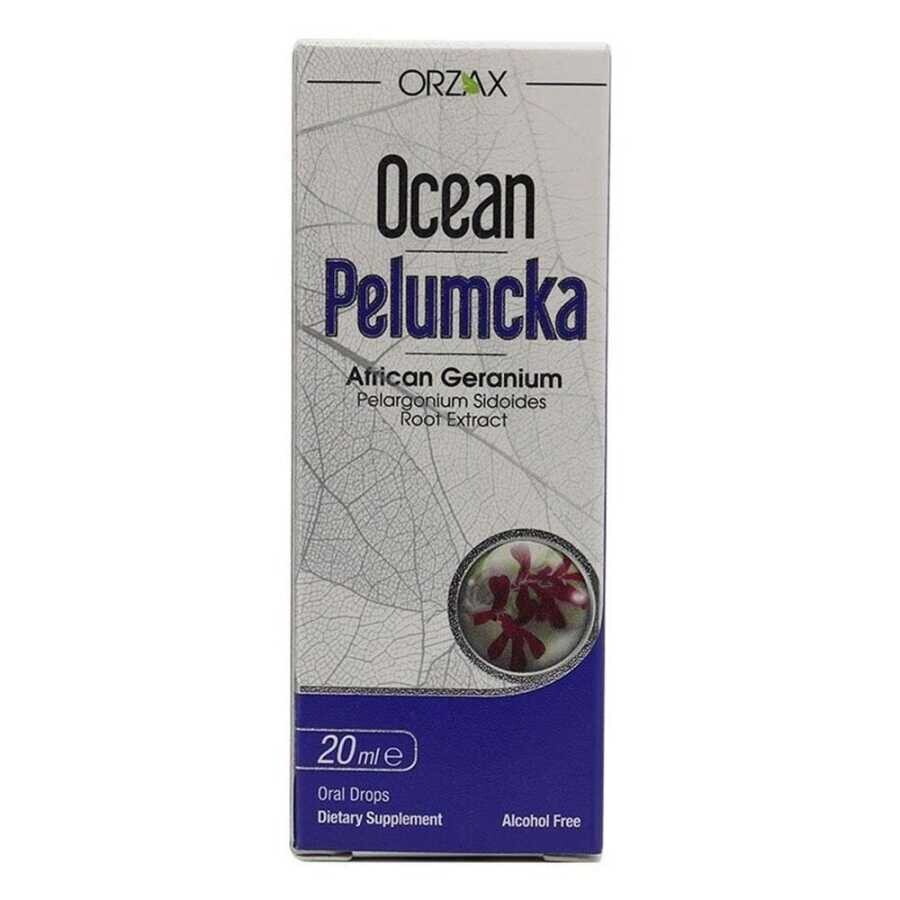 Pelumcka Takviye Edici Gıda Damla 20 ml - 1
