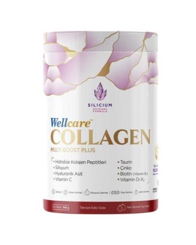 Wellcare Collagen Multi Boost Plus Nar Aromalı 345 g Toz 