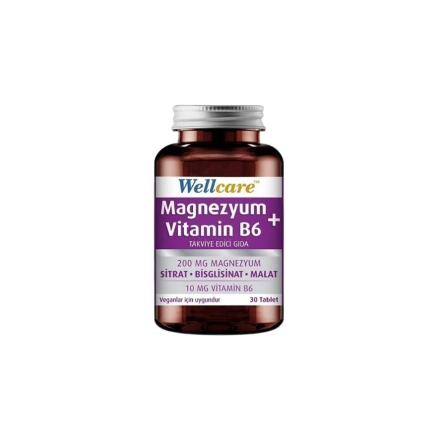 Wellcare Magnezyum Vitamin B6 30 Tablet - 1