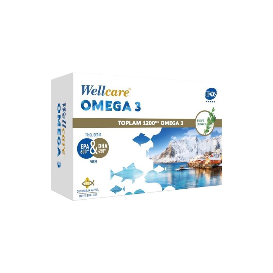 Wellcare Omega3 Biberiye Ekstraktlı Balık Yağı 30 Yumuşak Kapsül - 1